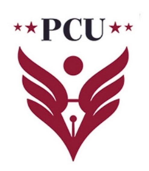 Pimpri Chinchwad University